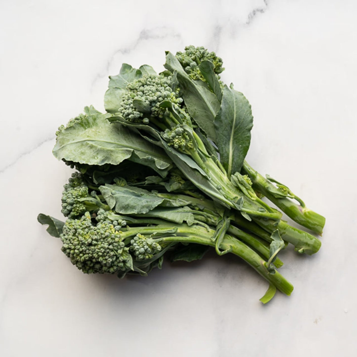Organic Broccoli di Ciccio (1 lb)