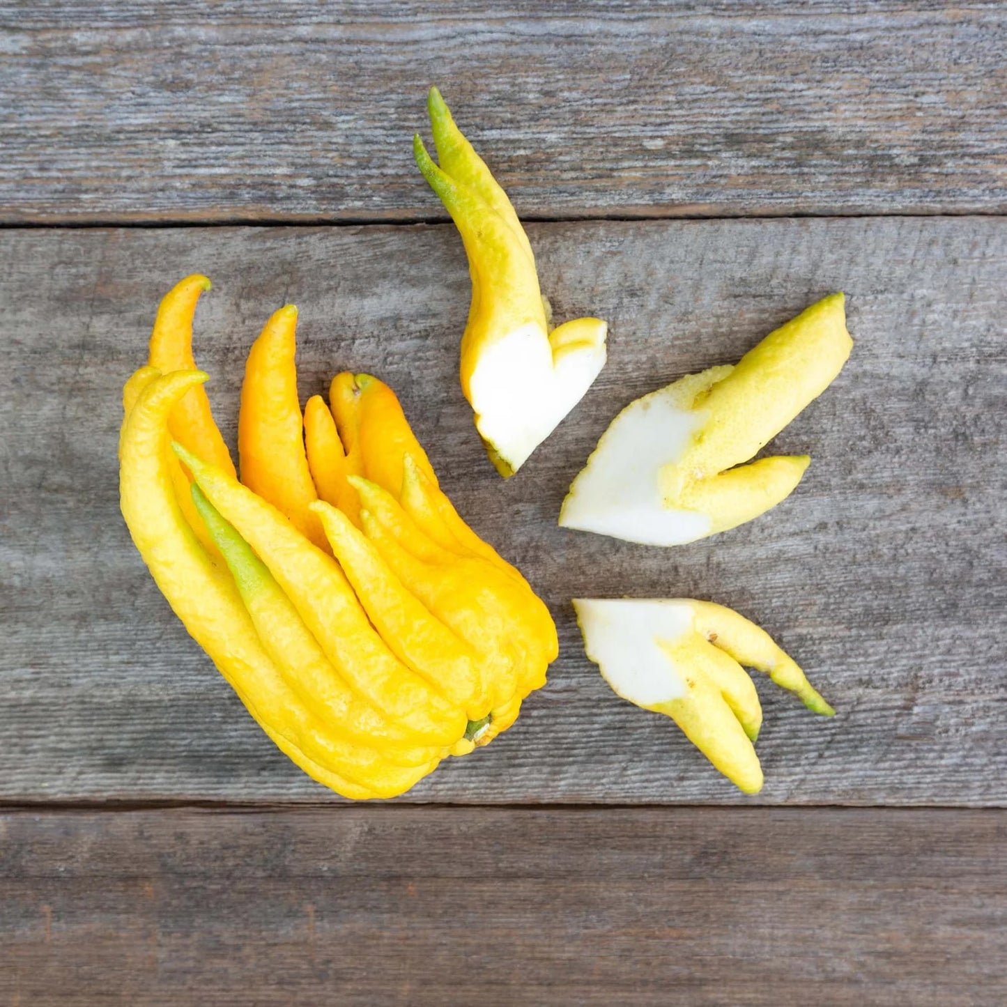 Organic Buddha's Hand (1 lb)