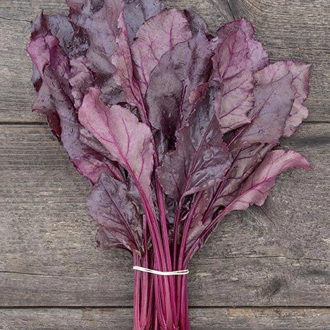 Organic Bull's Blood Greens (1 bunch)