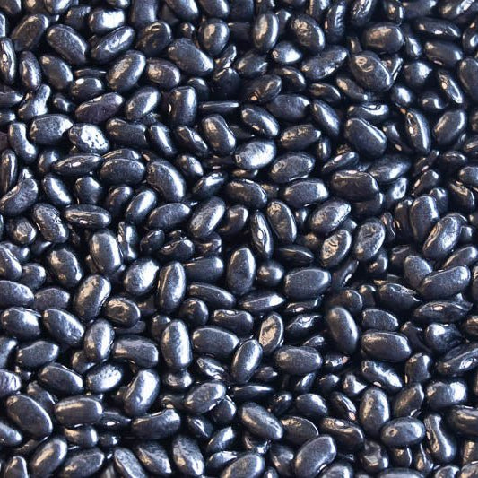 Chiapas Black Bean (Frijol Negro de Vara) (1 lb bag)