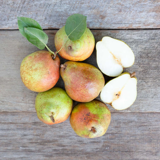 Organic Comice Pears (1 lb)