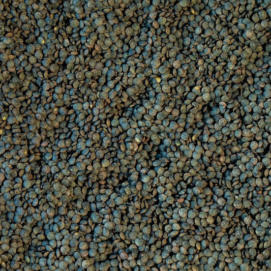 French-Style Green Lentil (1 lb bag)