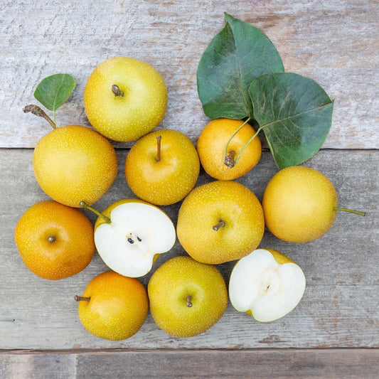Organic Hosui Asian Pear (1 lb)