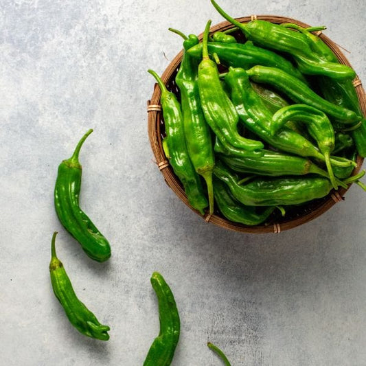 Organic Shishito Peppers (8 oz)