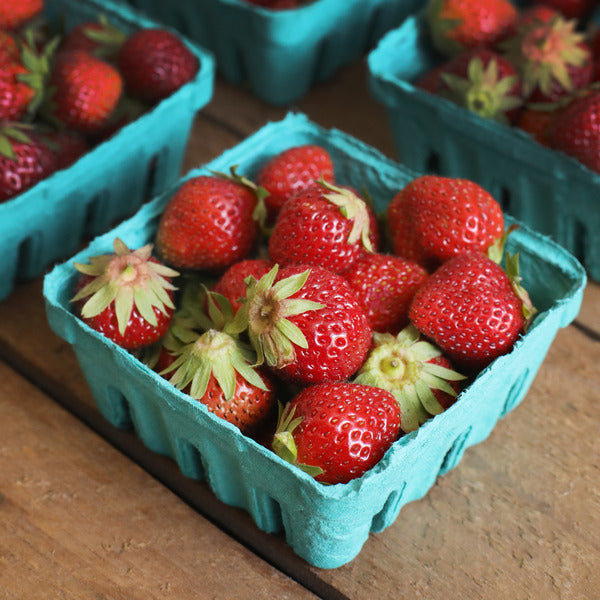 Organic Strawberries  (1 lb)