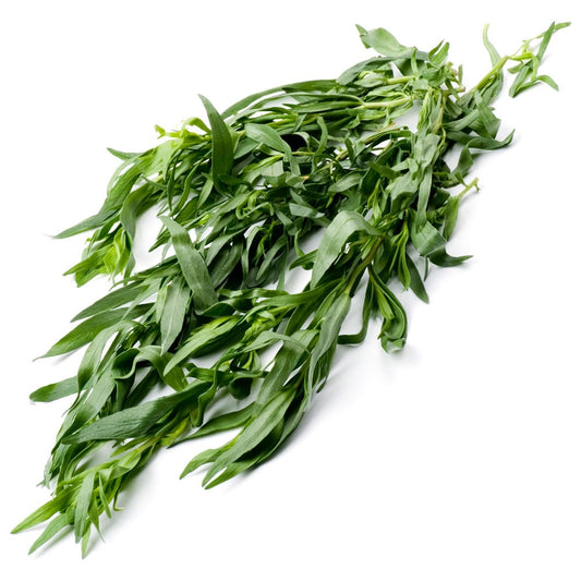 Organic Tarragon