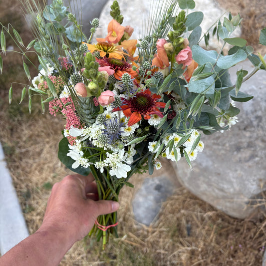 Two Roots Farm Seasonal Bouquet (1 bunch)